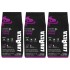 Lavazza expert Gusto forte çekirdek kahve 3 kg Orijinal