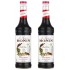 Monın Chai Tea Şurubu 700 ml X 2
