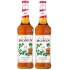 Monin Irish Şurubu 700 ml X 2