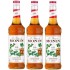 Monin Irish Şurubu 700 ml x 3